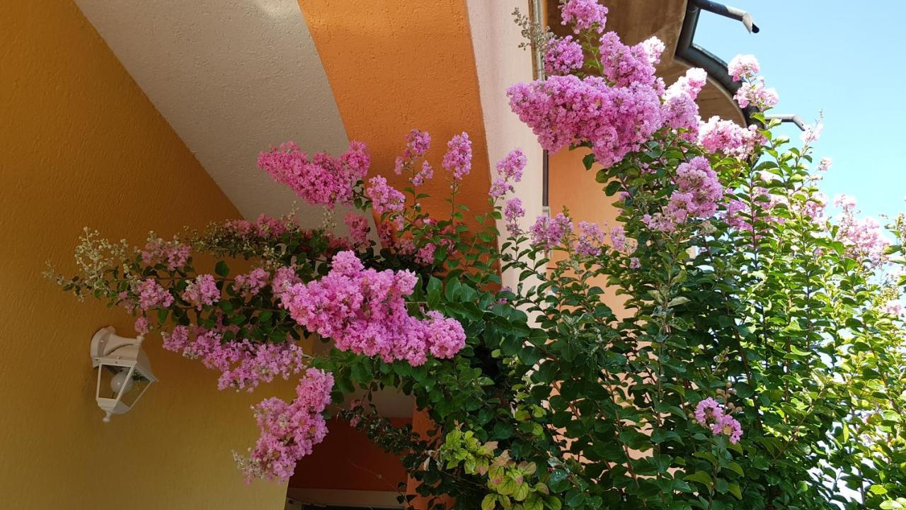 B&B Villa Giulia Дезенцано-дель-Гарда Экстерьер фото