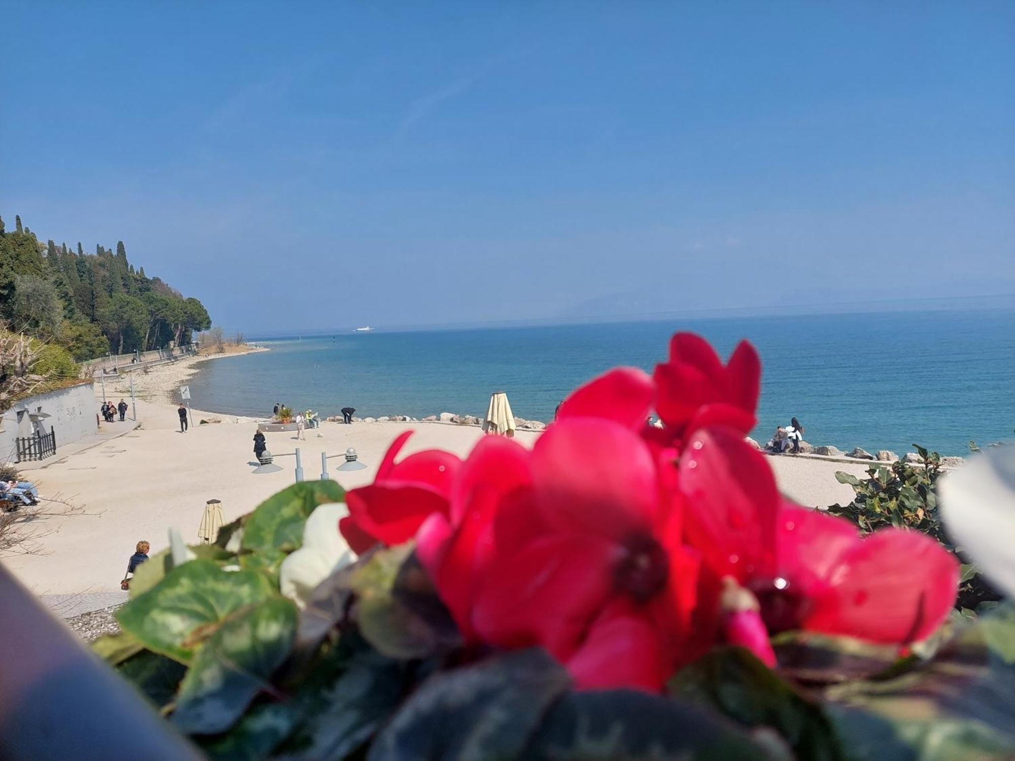 B&B Villa Giulia Дезенцано-дель-Гарда Экстерьер фото