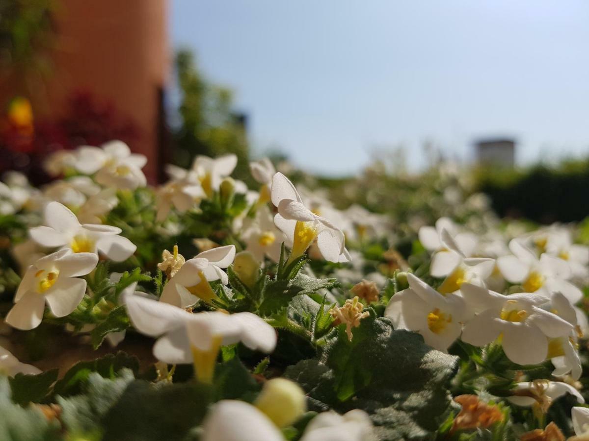 B&B Villa Giulia Дезенцано-дель-Гарда Экстерьер фото